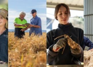 AgriFutures grants build skills