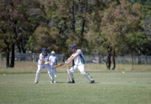 Tigers torch Pigeons to finish season in style