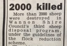 Far cry from cull time